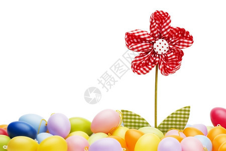 季节东方鸡蛋之间有红色的花朵白背景的东方鸡蛋之间有红色的花朵植物紫图片