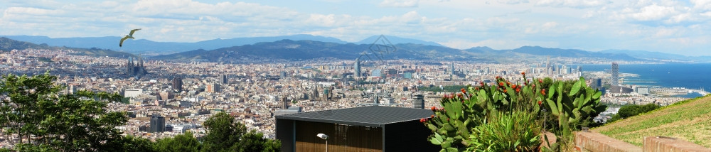 城市的旅游巴塞罗那全景从海洋和山丘的合修会看巴塞罗那市景全城图片