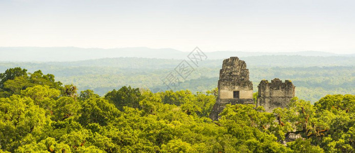 纪念碑危地马拉热带雨林茂密的Tikal废墟自然玛雅图片
