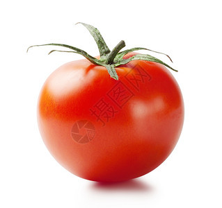 红熟番茄图片