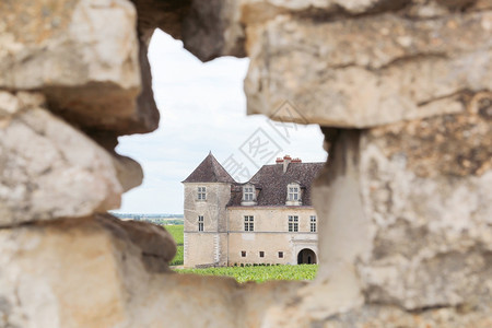 农业法国勃根迪克洛斯德沃格托特城堡武若葡萄园图片