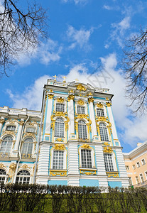 地标俄语罗斯TsarskoyeSeloPushkin凯瑟琳宫的一部分树图片