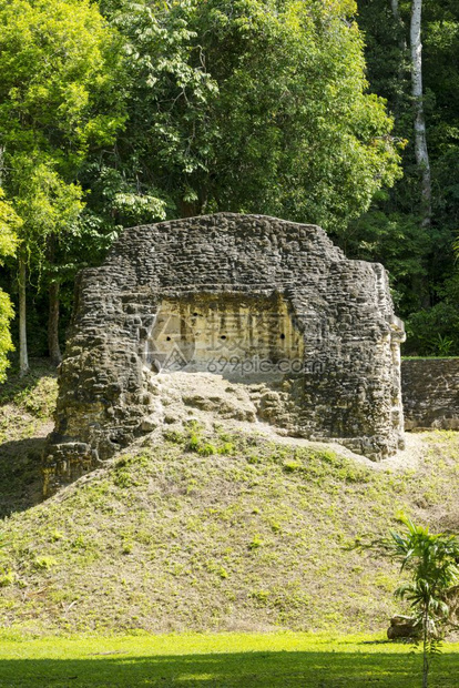 寺庙纪念碑危地马拉Mayan市蒂卡尔Tikal的建筑物自然图片