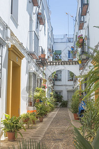 旅行狭小的西班牙街墙上有白房子和鲜花朵植物图片
