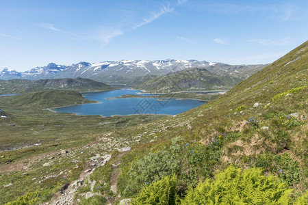 景观绿色从比蒂霍恩到Stavttjeedtet公园的步行足迹湖峡和山上积雪夏天图片