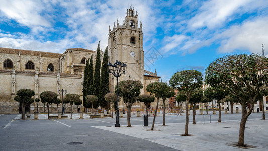 宗教西班牙帕伦亚卡斯蒂利和里昂哥特大教堂旅游历史图片