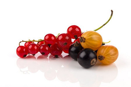 多汁的生水果红草原黑莓白底隔离在色背景上图片