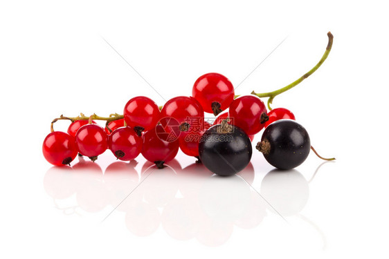 多汁的红草原黑莓白底隔离在色背景上季节黑醋栗图片