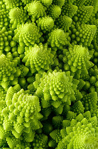 质地植物抽象绿色自然背景罗曼尼斯科花椰菜Brassicaoletracea近距离拍摄的绿花背景饮食背景图片
