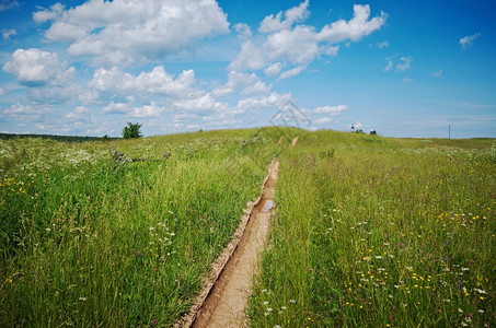 自然农夫路俄罗斯夏季草地阿尔汉格斯克地区俄罗阳光基诺零图片