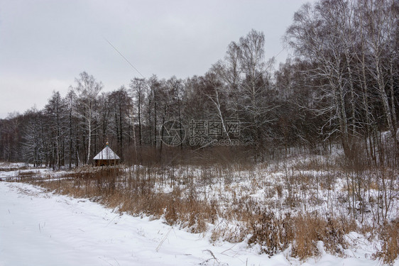 宗教建筑学森林俄罗斯雅拉夫尔州托基区彼得罗科耶村附近的拉多涅日圣谢尔盖泉图片