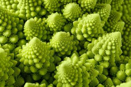 蔬菜抽象的绿色自然背景罗曼尼斯科花椰菜Brassicaoleracea近镜头选择焦点Romanesco花椰菜有机的生图片