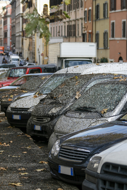汽车窗户上的鸟粪和泥土城市攻击白色的图片
