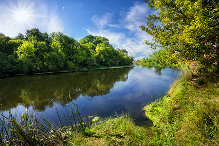 蓝河白天在岸边有绿树青河海岸上也有绿树水绿色图片