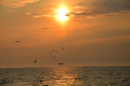 情绪波罗的海日落太阳洋图片