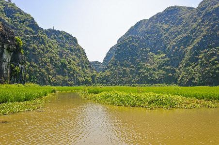 国民假期山越南沿河的稻田图片