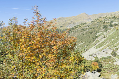 景观户外秋天在安道尔的山中美丽图片