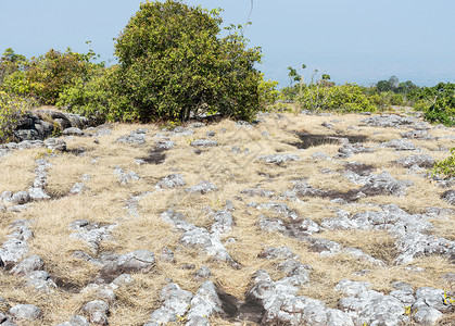 场地泰公园高山的沙岩结点与干草田交汇处泰国环境民图片