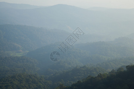 清晨山雾笼罩在茂密的森林中夏天日出秋图片