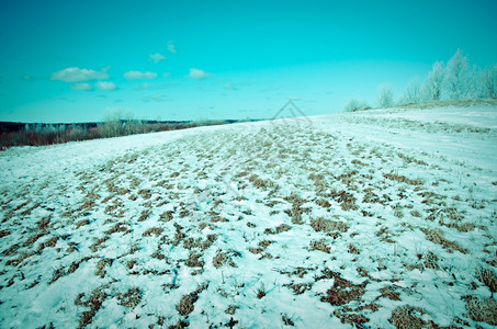 雪花寒冬的风景冷树木明亮阳光媚的一天霜景观图片
