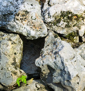 屋一些大岩石之间空洞的动物家内什么都没有发现门户14图片