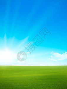 左侧有绿色草地和蓝天空的垂直风景有太阳和乌云早上拍到照片笑声蓝太阳地平线晚上图片