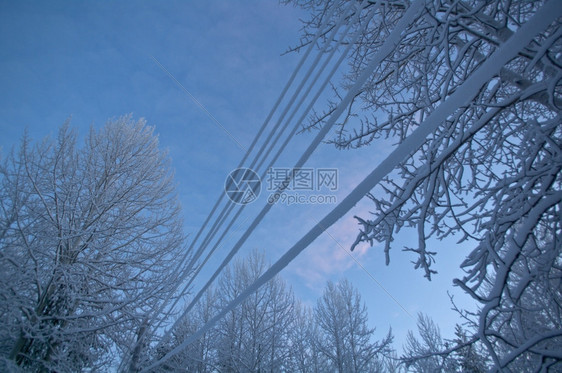 冬季地貌现封覆盖的电缆带有力俄罗斯景观雪堆图片