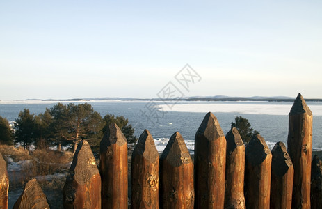 木材一种海景从鱼群后面的海景树木图片