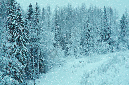 冬季地貌现封覆盖的电缆带有力雪花白色的气图片