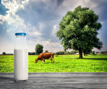 液体天然产物和健康食品的概念在牧场上装奶牛的瓶品在牧场上配奶牛的瓶装品场地食物图片
