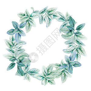 婚礼羊耳叶花圈银色和浅蓝罐子手工抽水彩图分支叶子图片