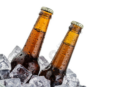 喝冰上啤酒复制空间啤酒白底的复制空间被孤立气泡液体图片