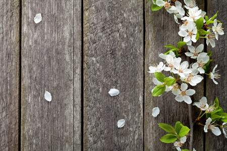 树叶艺术作品木桌背景上的春花梅顶视图图片