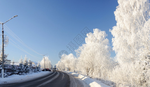 覆盖白色的俄罗斯小镇公路冬天季的树木上面布满了橡树霜路边图片