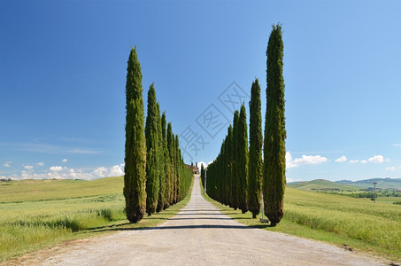 意大利托斯卡纳农村公路图片