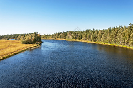 景观草俄国卡雷利亚的Onda河景象美丽图片