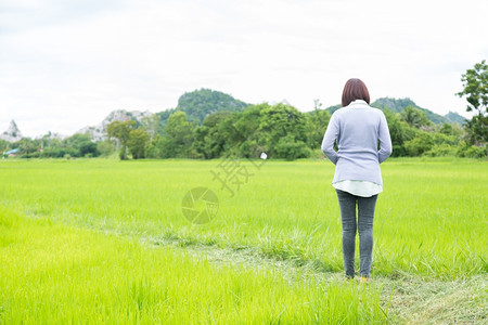 身戴眼镜站在水稻田的妇女自然会常设绿色人们图片