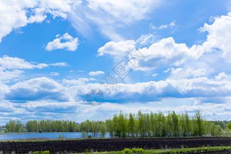 与天空和森林的夏日风景照片树叶植物群夏天图片