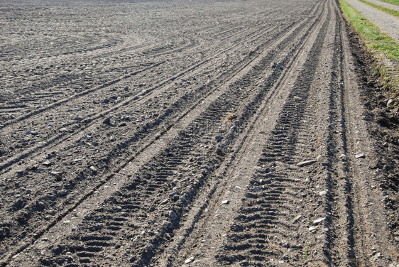 黑色的瑞典土在新播种的玉米田里有铁轨风景图片