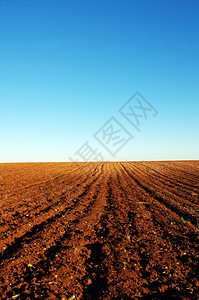土壤地球在葡萄牙南部的田地耕种乡村图片