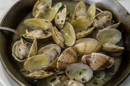 食谱海美味绿酱传统西班牙菜的一盘蛤图片