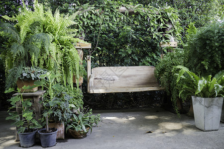 木制的松弛夏天室外花园的木林摇椅股票照片图片