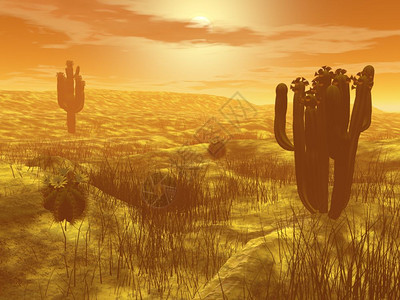 日出亚利桑那使成为橙色日落时在沙漠中的仙人掌3D渲染沙漠中的仙人掌渲染图片