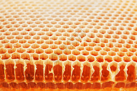 蜂蜜蜜糖图片