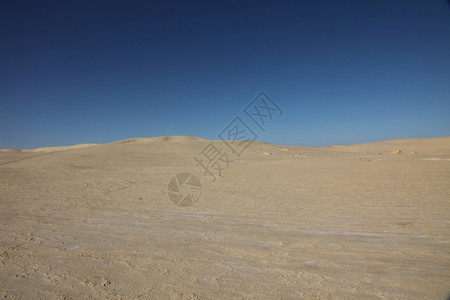 干燥荒野热的撒哈拉沙漠图片