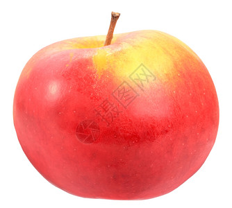 只要红黄色白背景的红黄苹果单独一个红色黄苹果关闭摄影棚单身的图片
