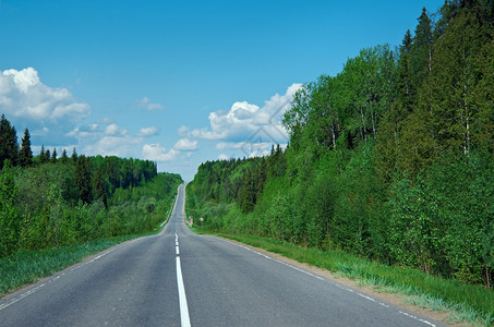 绿色俄罗斯森林阿尔汉格斯克地区平线乡村的图片