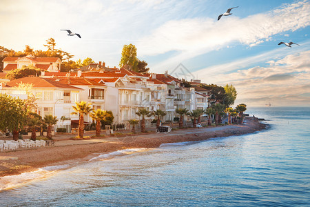 亚洲码头假期夏天从大海到王子岛Kinaliada岛的景色海岸住宅和它前面海滩夏季景观土耳其伊斯坦布尔从大海到夏天王子岛图片
