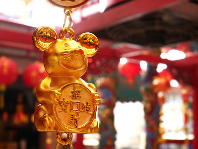 庆祝大鼠年新一奖章纪念大鼠年十二生肖好的人图片