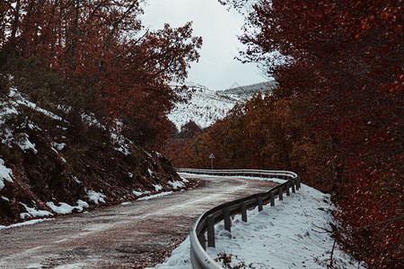 冬季的河谷和雪山森林图片